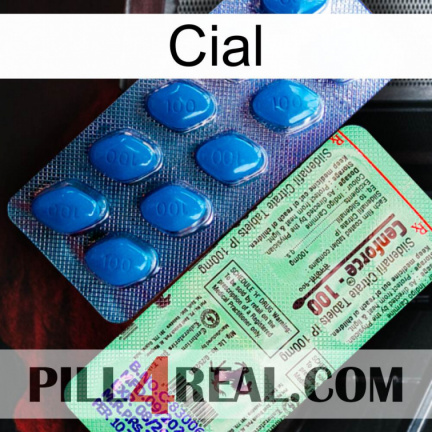Cial new02